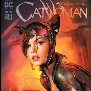 Shannon Maer Catwoman Comic Cover silk canvas Fabric Poster (36" x 24")